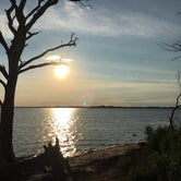 Review photo of Bayside Assateague Campground — Assateague Island National Seashore by Annelise S., August 18, 2017