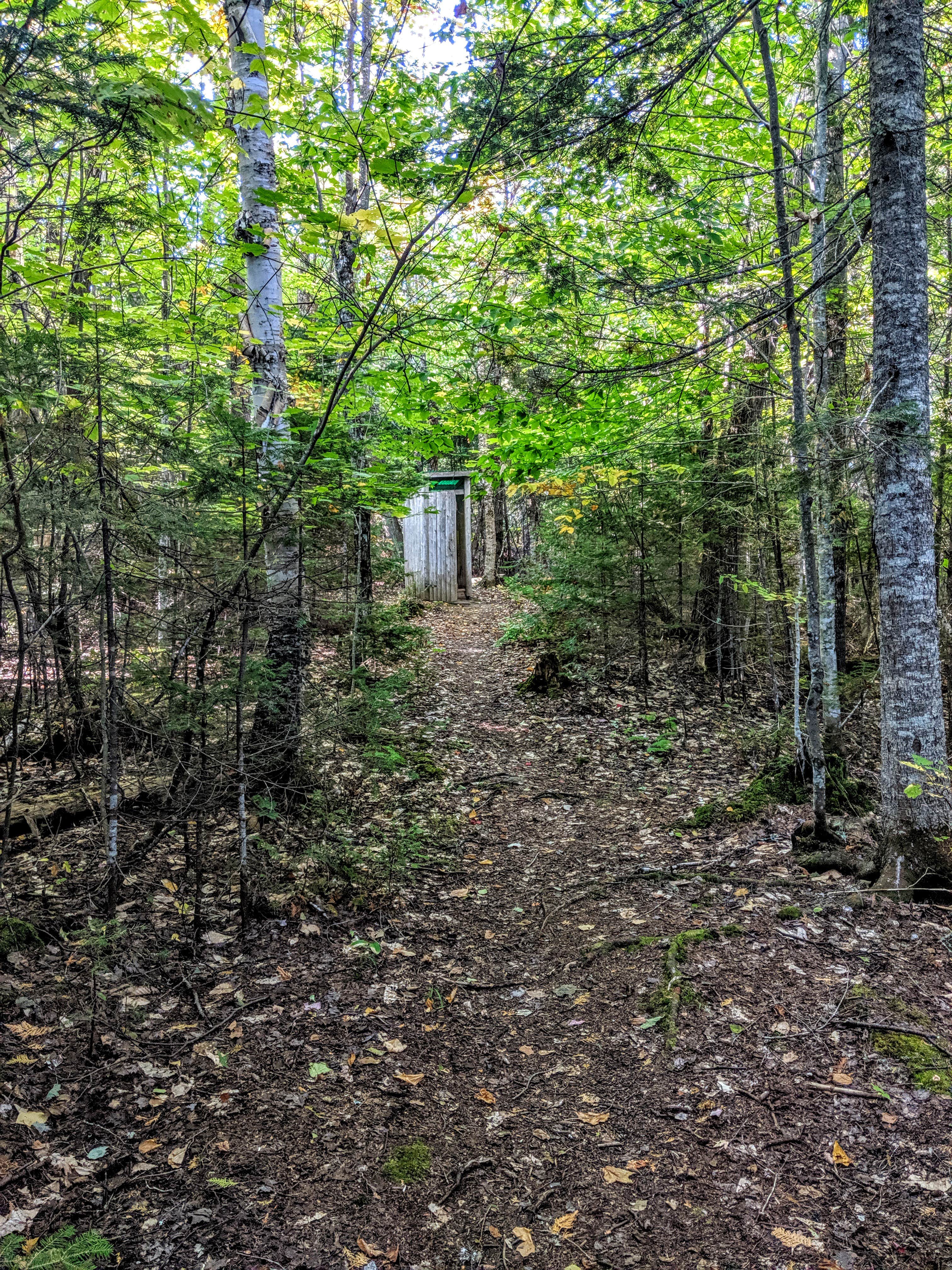 The private latrine is tucked back in the woods away from the campsite.