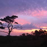 Review photo of Bayside Assateague Campground — Assateague Island National Seashore by Annelise S., August 18, 2017