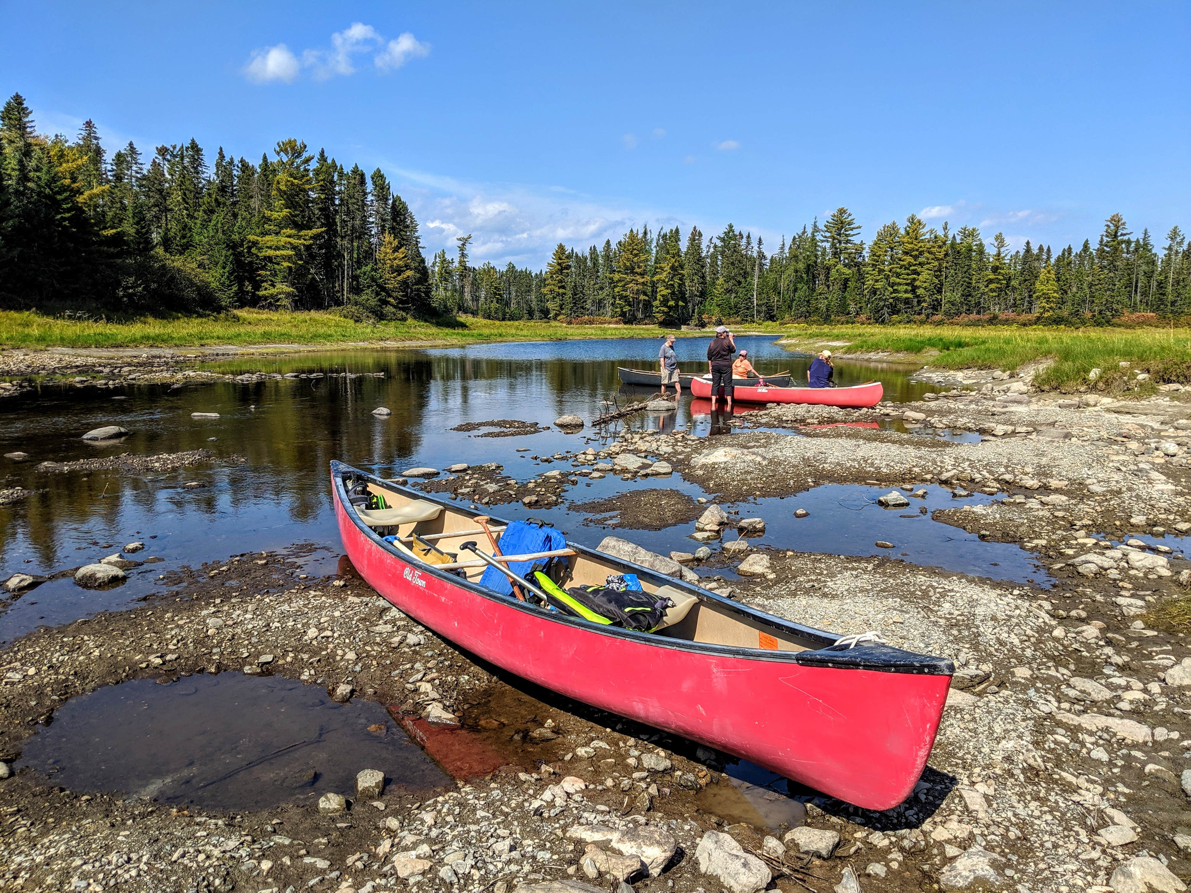 Camper submitted image from Pine Stream Campsite on the W. Penobscot River - 5