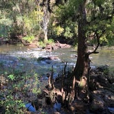 Review photo of Hillsborough River State Park Campground by Bryan  , October 30, 2019