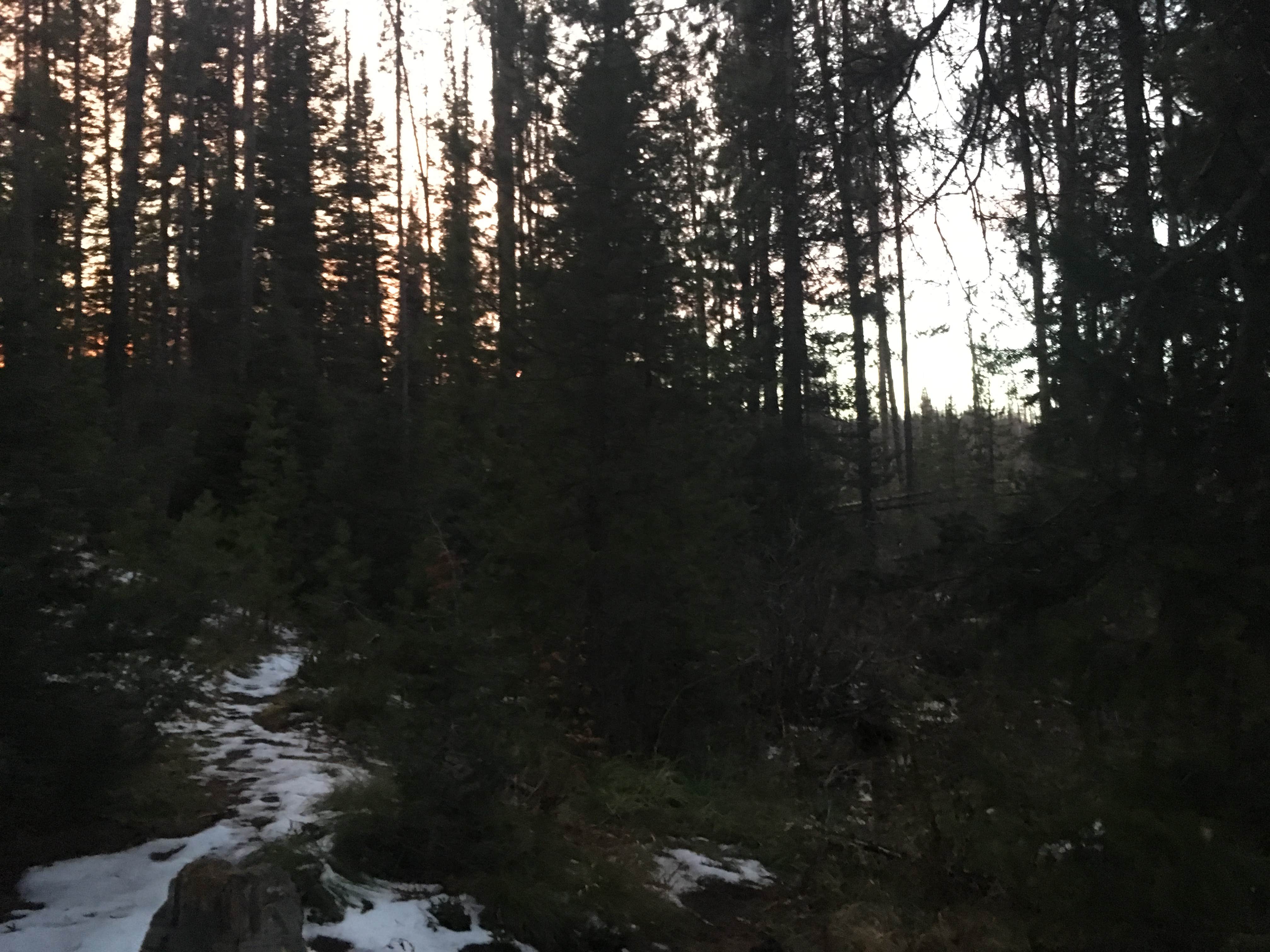 Camper-submitted photo at Edna Creek Campground near Idaho City, ID