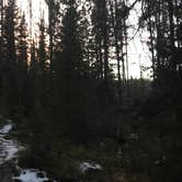 Review photo of Edna Creek Campground by Easton S., October 30, 2019