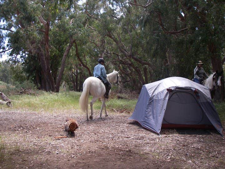 Lindsay C.'s photo of camping with a horse at Islay Creek Campground — Montaña de Oro State Park near Morro Bay, CA
