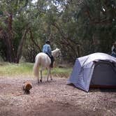 Review photo of Islay Creek Campground — Montaña de Oro State Park by Lindsay C., August 18, 2017