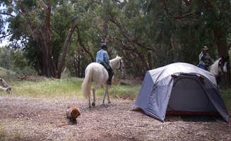 Lindsay C.'s photo at Islay Creek Campground — Montaña de Oro State Park near Avilla Beach, CA
