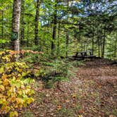 Review photo of Pleasant River (Katahdin Ironworks) by Shari  G., October 30, 2019