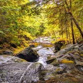 Review photo of Pleasant River (Katahdin Ironworks) by Shari  G., October 30, 2019