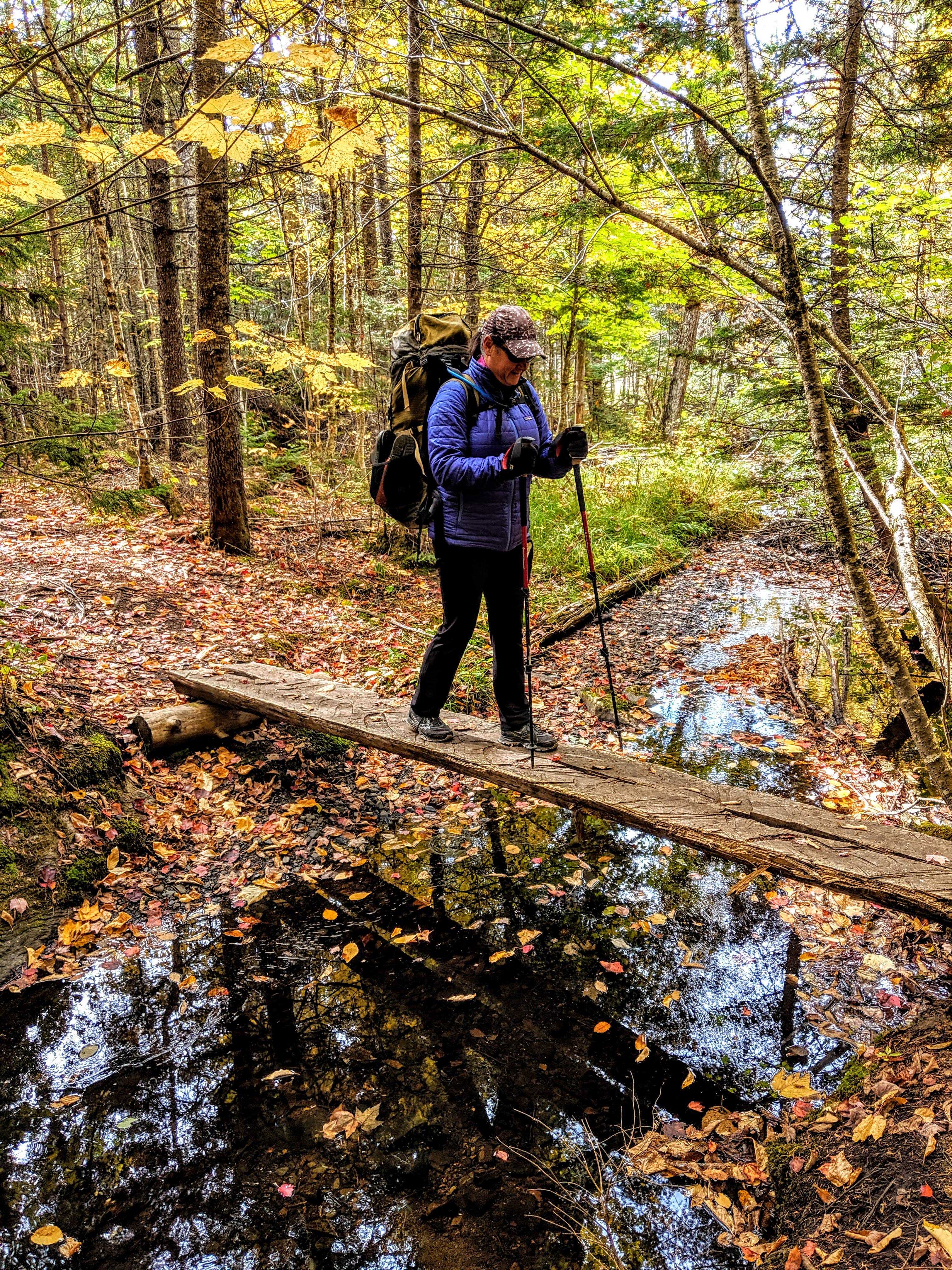 Camper submitted image from Pleasant River (Katahdin Ironworks) - 5