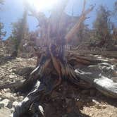 Review photo of Grandview Campground by Lindsay C., August 18, 2017