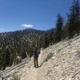 Review photo of Grandview Campground by Lindsay C., August 18, 2017