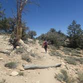 Review photo of Grandview Campground by Lindsay C., August 18, 2017