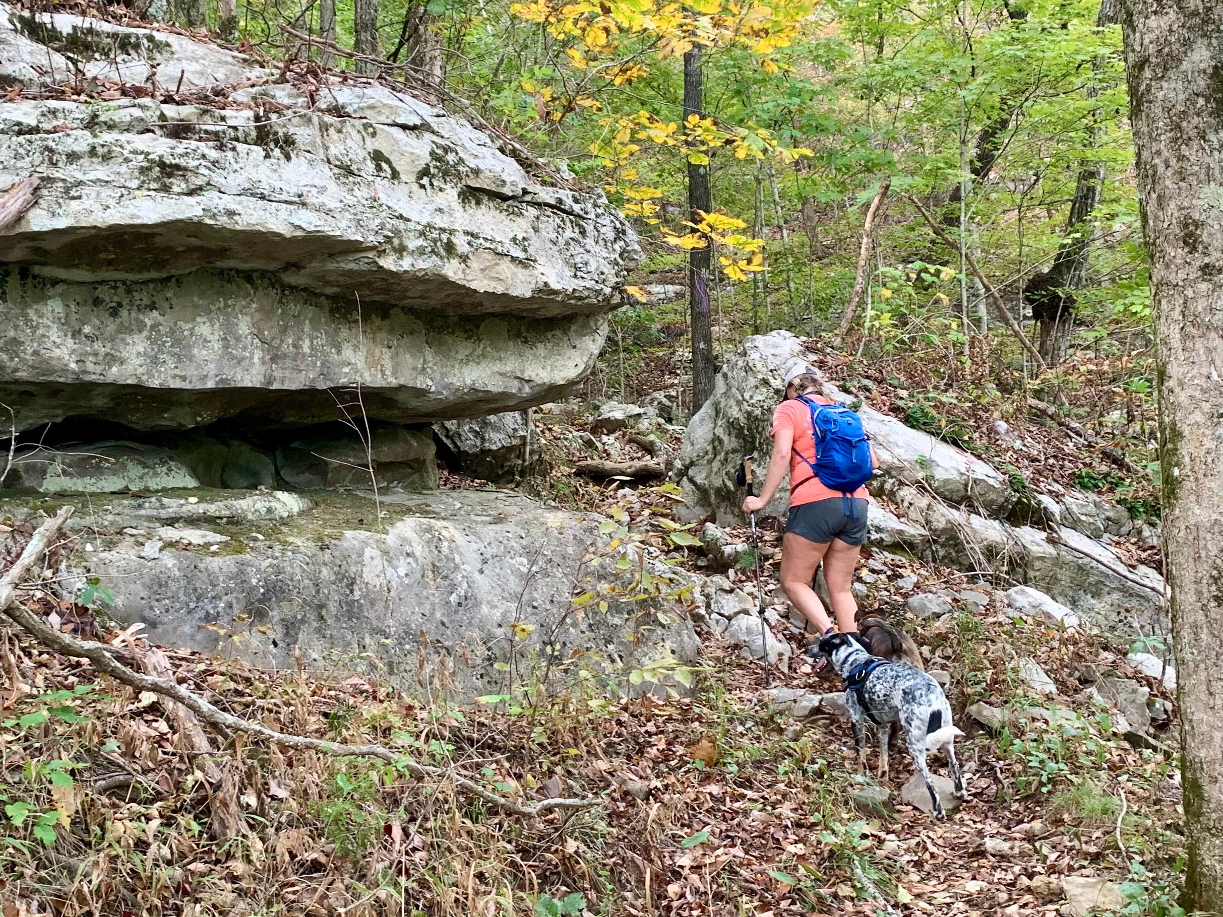 Steve V.'s photo of camping with pets at Monte Sano State Park Campground in Alabama