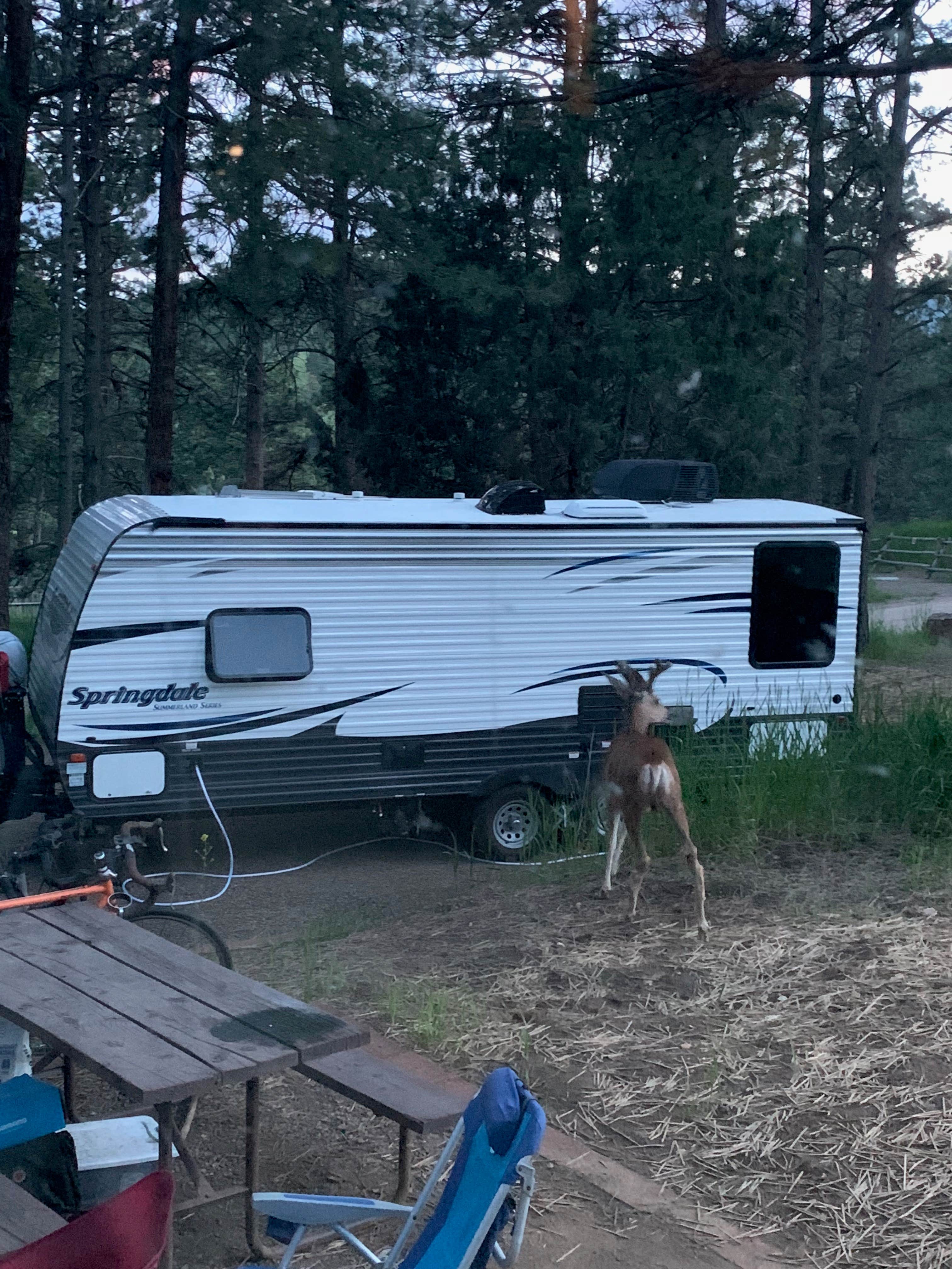 Camper-submitted photo at Chief Hosa Campground near Evergreen, CO