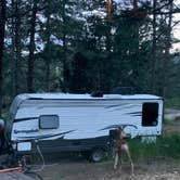 Review photo of Chief Hosa Campground by Bounding Around , October 31, 2019