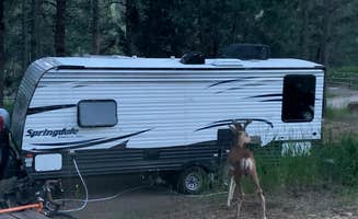 Bounding Around's photo of camping with pets at Chief Hosa Campground near Littleton, CO
