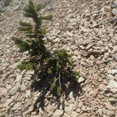 Review photo of Grandview Campground by Lindsay C., August 18, 2017
