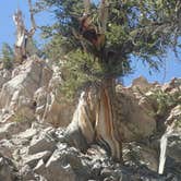 Review photo of Grandview Campground by Lindsay C., August 18, 2017