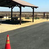Review photo of Colonel Allensworth State Historic Park Campground by Corinna B., July 1, 2018