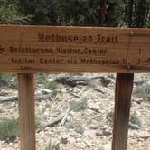 Review photo of Grandview Campground by Lindsay C., August 18, 2017