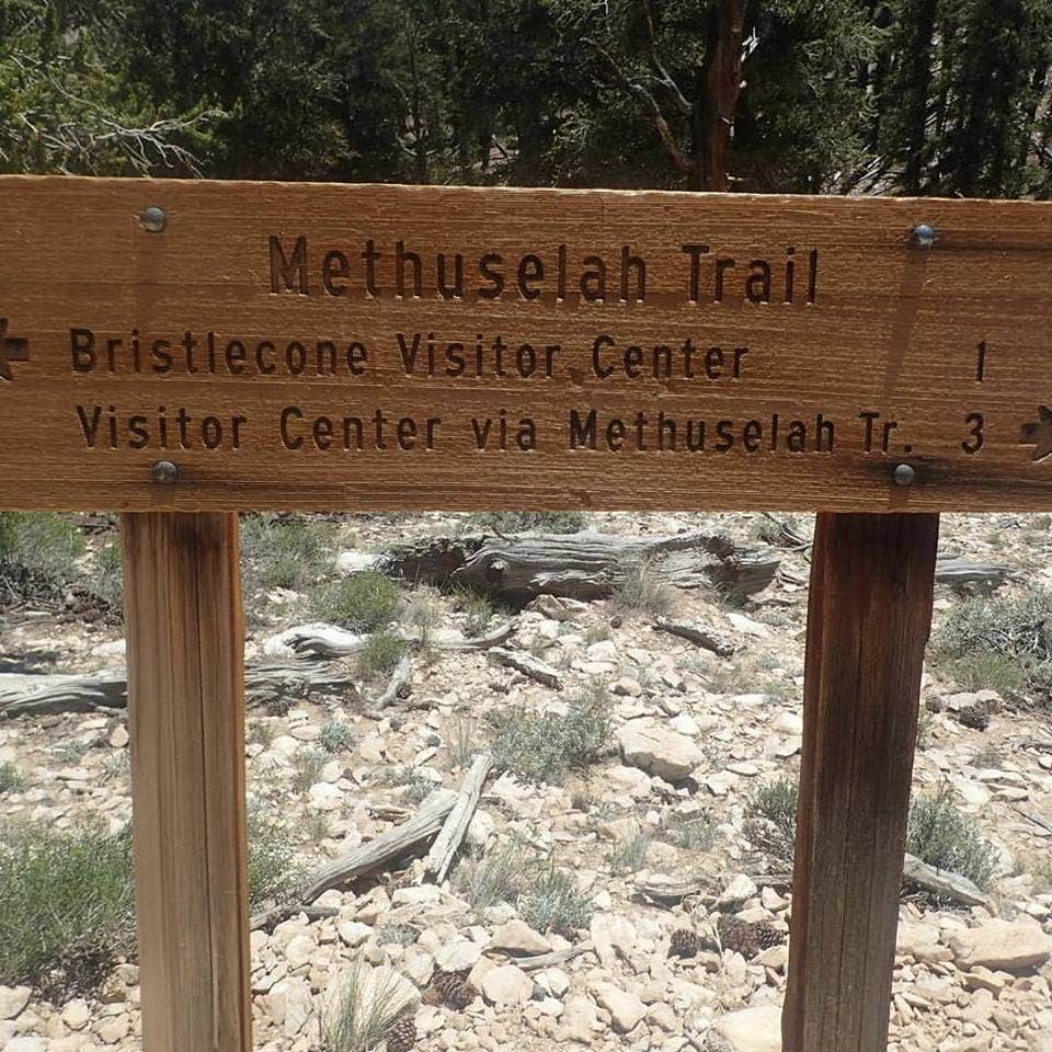 Camper submitted image from Grandview Campground - 5