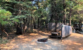 Camping near North Battle Creek Campground: Mt. Lassen-Shingletown KOA, Shingletown, California