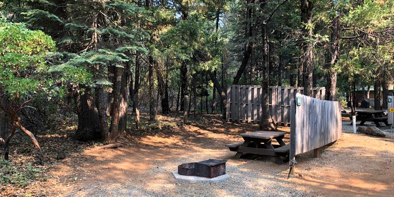 Camper submitted image from Mt. Lassen-Shingletown KOA