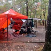 Review photo of Cloudland Canyon State Park Campground by Steve V., October 31, 2019