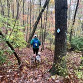 Review photo of Cloudland Canyon State Park Campground by Steve V., October 31, 2019