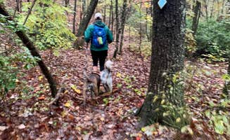 Steve V.'s photo of camping with pets at Cloudland Canyon State Park Campground near Rising Fawn, GA