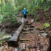 Review photo of Cloudland Canyon State Park Campground by Steve V., October 31, 2019