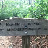 Review photo of Dolly Sods Backcountry by Dave V., October 31, 2019