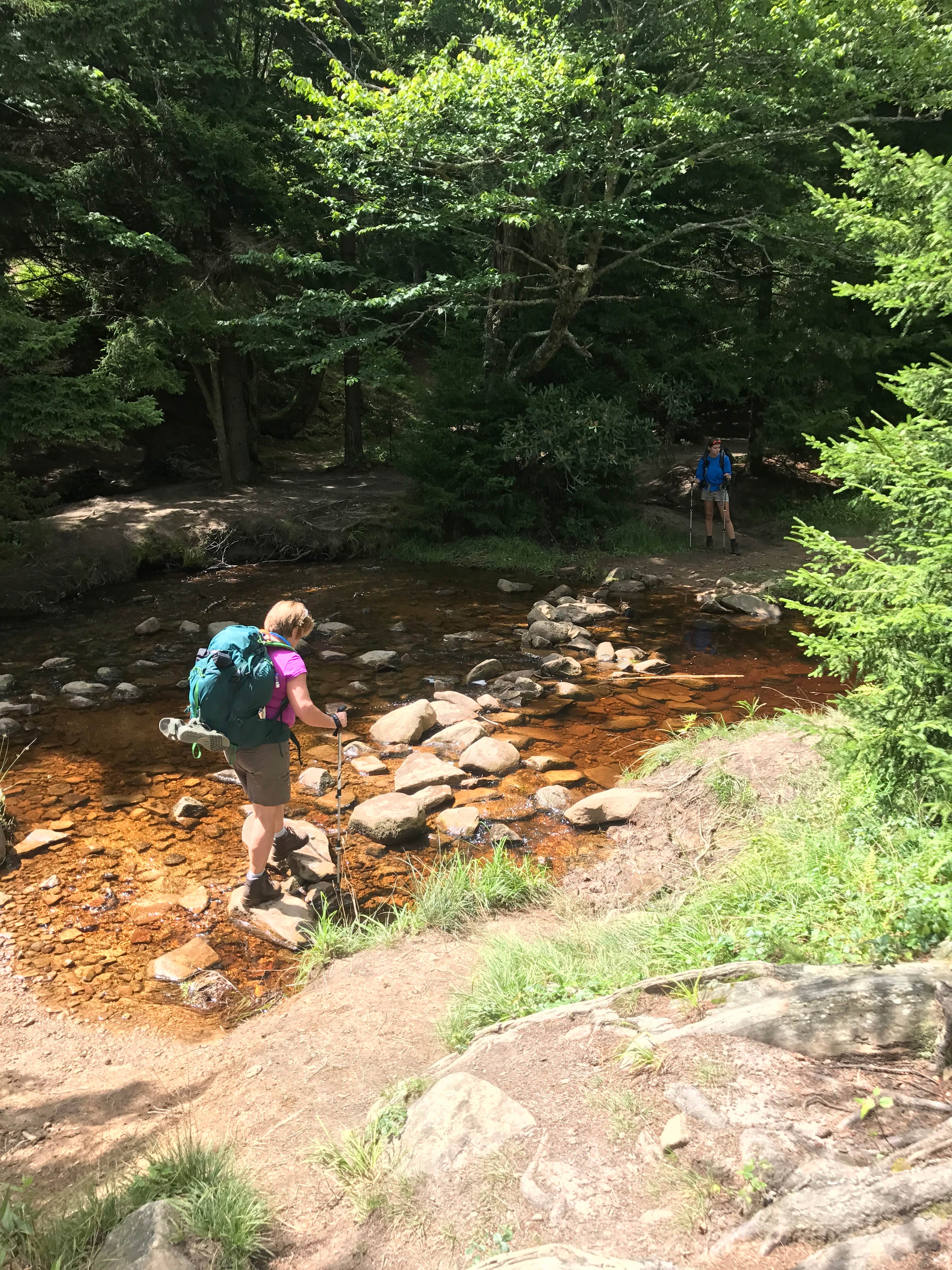 Camper-submitted photo at Dolly Sods Backcountry near Masontown, WV