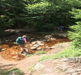Camper-submitted photo from Dolly Sods Backcountry
