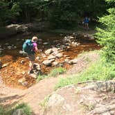 Review photo of Dolly Sods Backcountry by Dave V., October 31, 2019