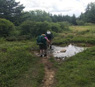 Camper-submitted photo from Dolly Sods Backcountry
