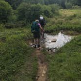 Review photo of Dolly Sods Backcountry by Dave V., October 31, 2019