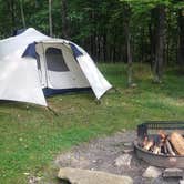 Review photo of Blackwater Falls State Park Campground by Dave V., October 31, 2019