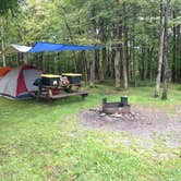 Review photo of Blackwater Falls State Park Campground by Dave V., October 31, 2019