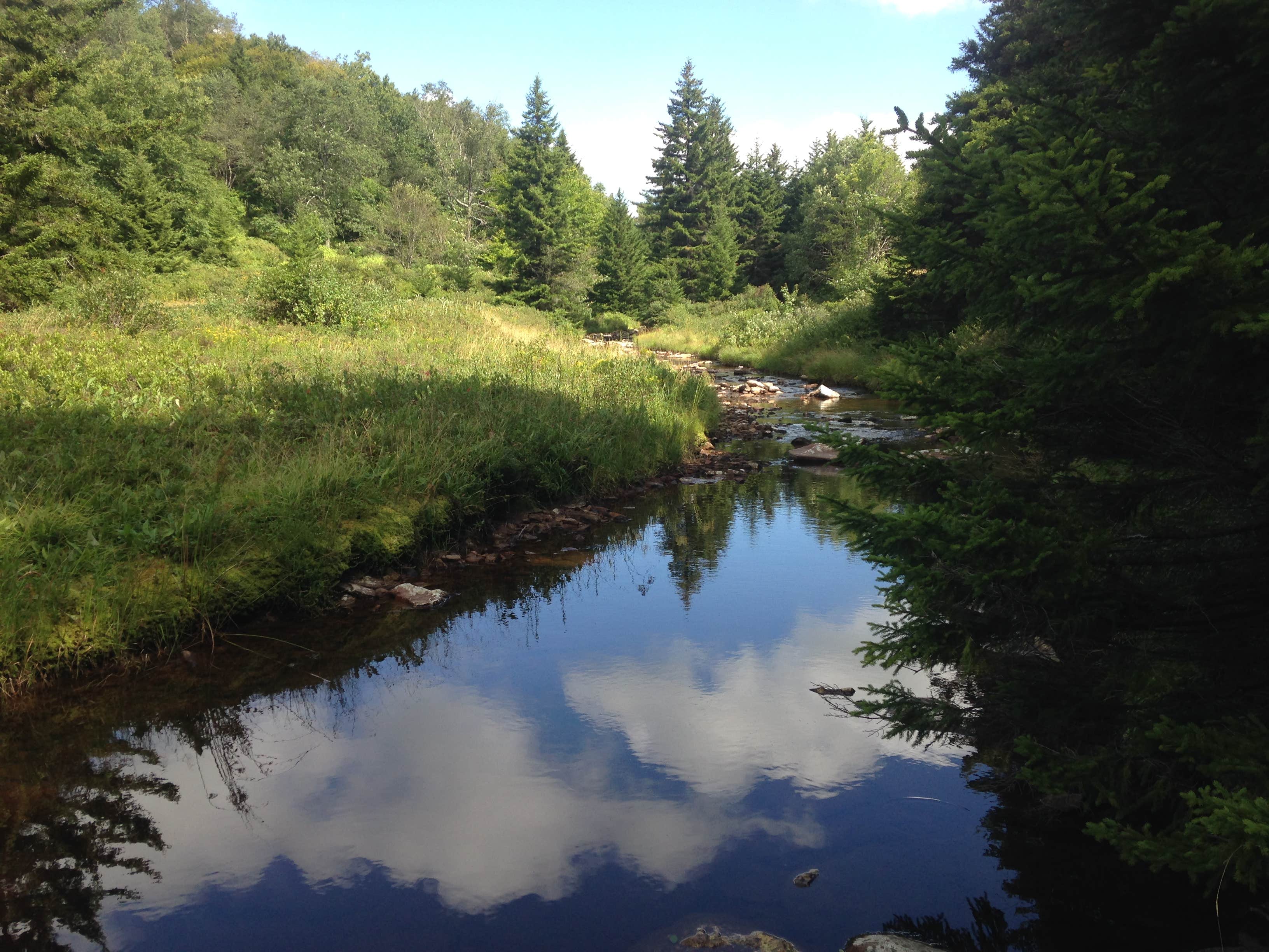 Red Creek.