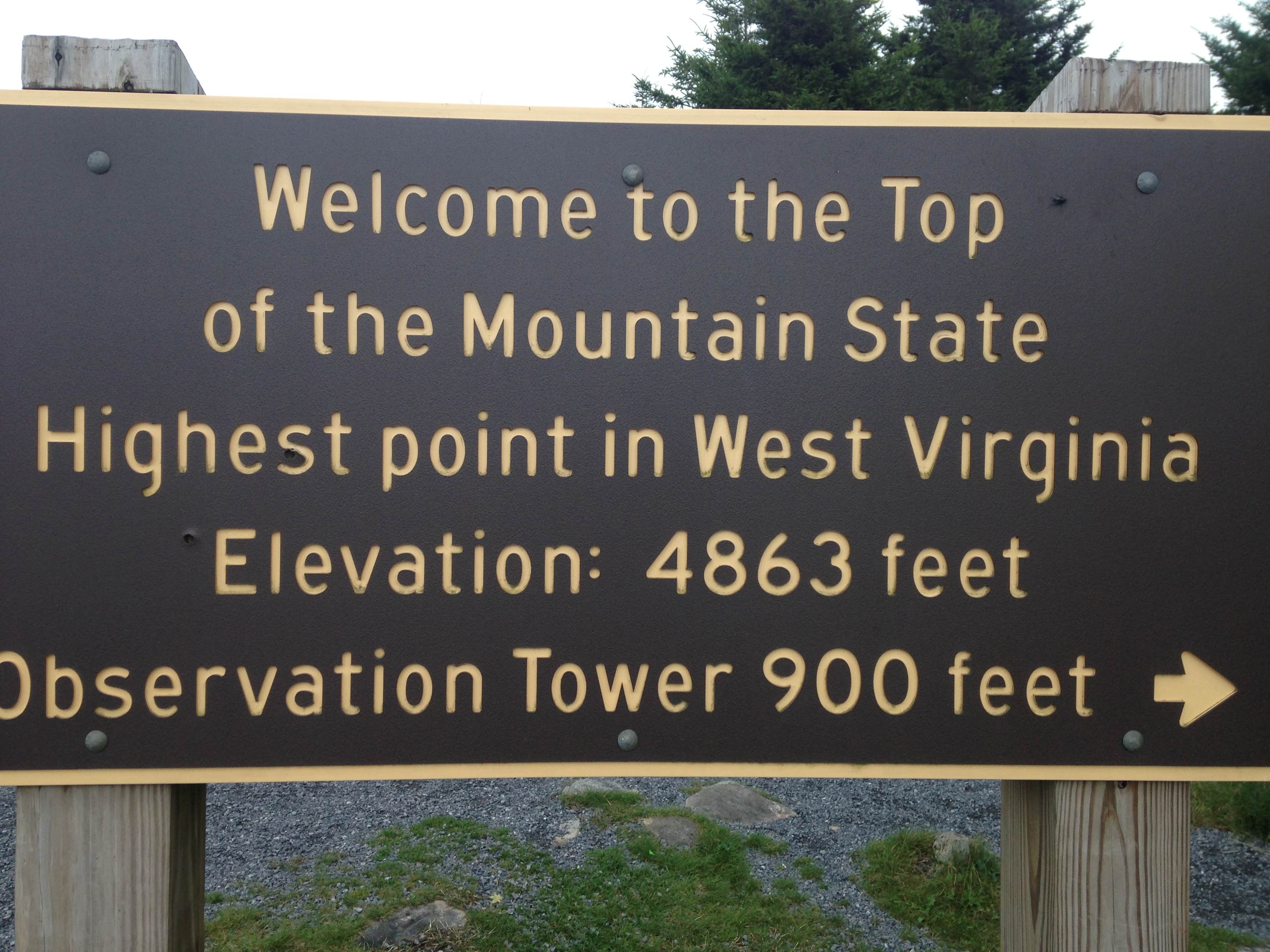 Camper submitted image from Spruce Knob and Spruce Knob Observation Tower - 4