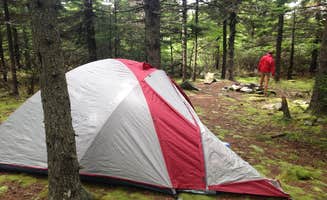 Dave V.'s photo at Spruce Knob and Spruce Knob Observation Tower near Glady, WV