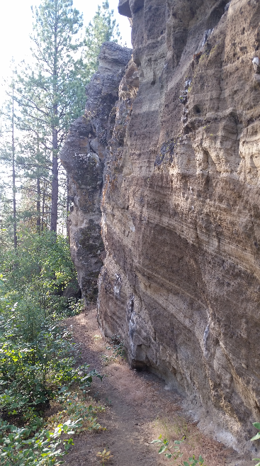 Camper submitted image from Howards Gulch Campground - 5