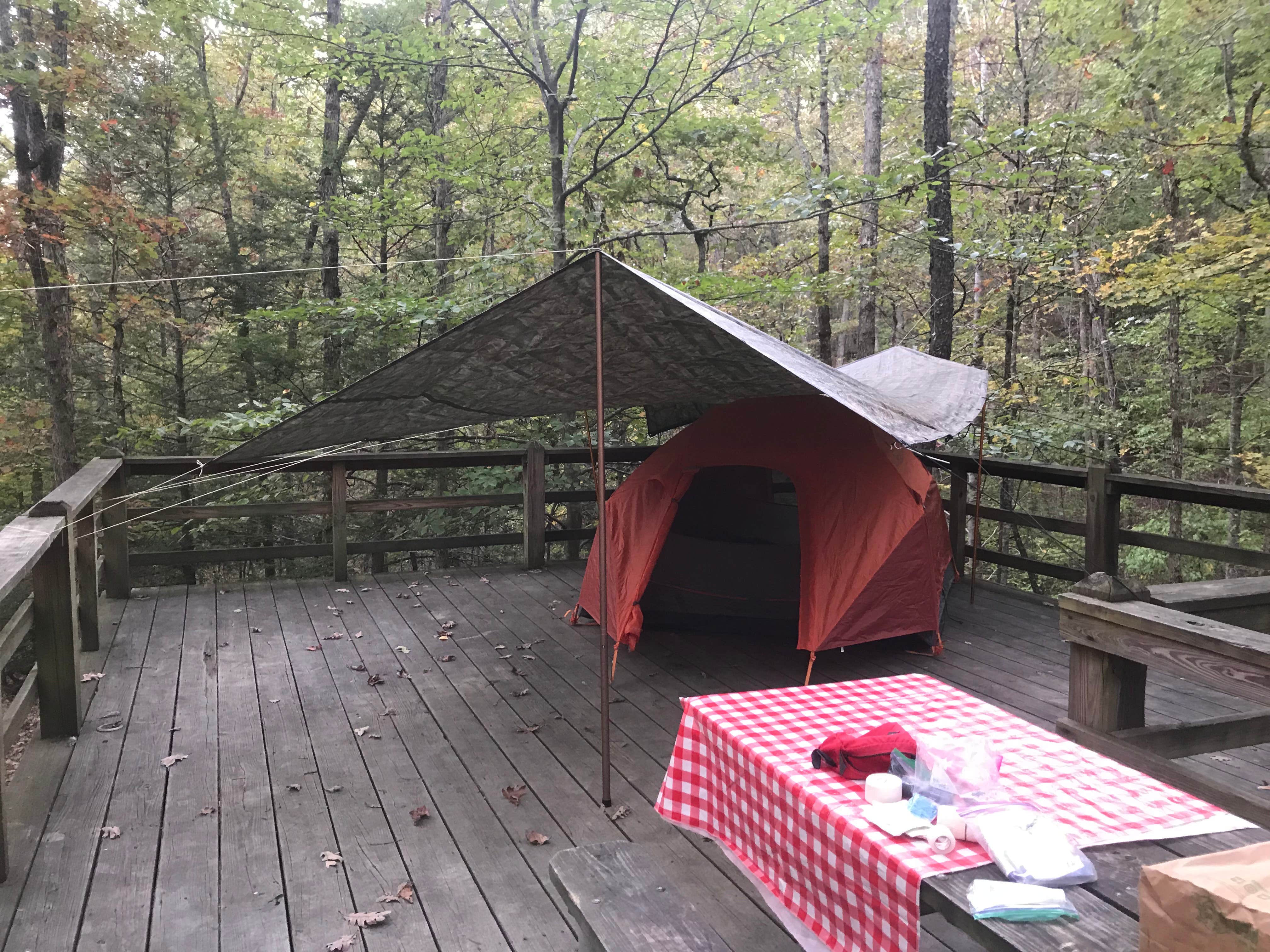 Dave V.'s photo of tent camping at Royal Oak Campground — Hungry Mother State Park near Princeton, WV