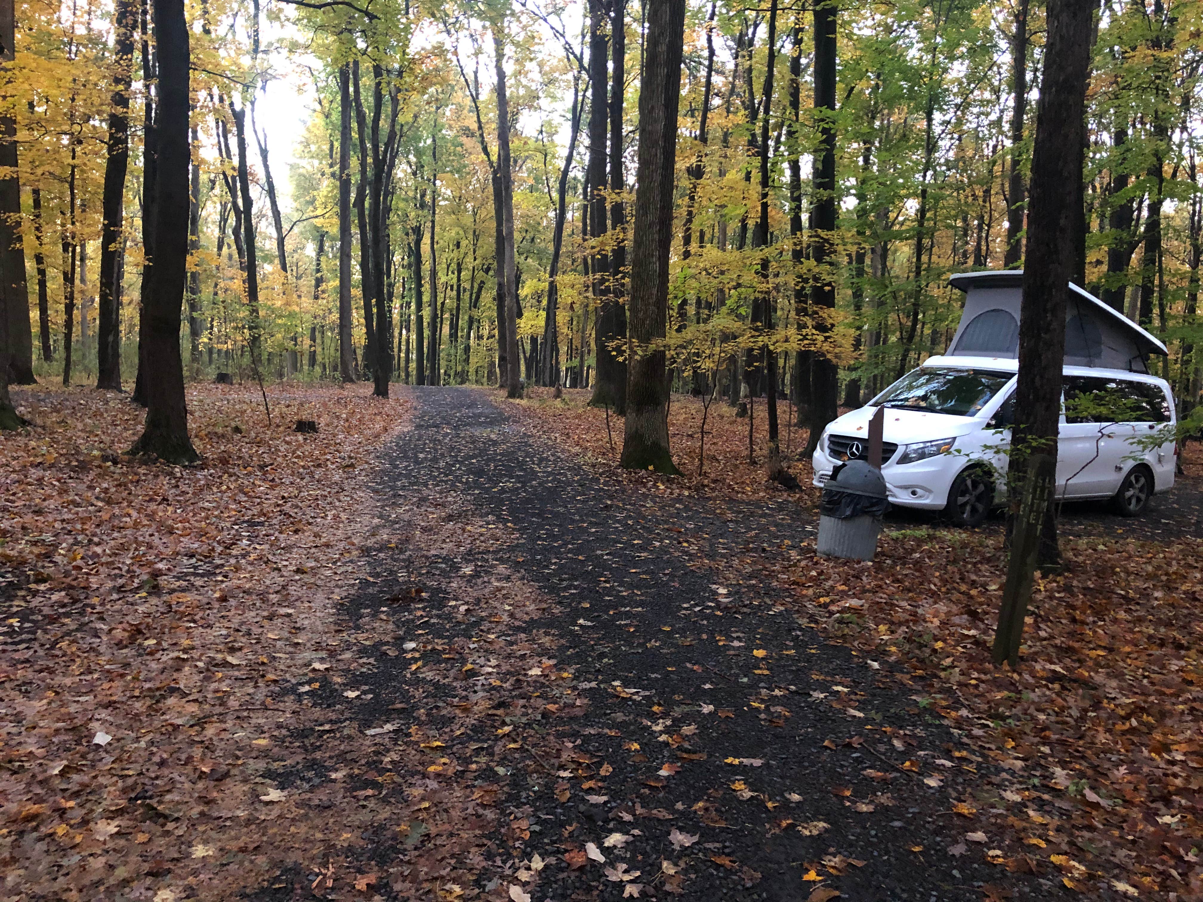 Camper submitted image from Tohickon Valley County Park - 4