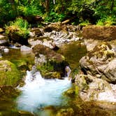 Review photo of Campbell Tree Grove Campground by Cheese H., August 19, 2017