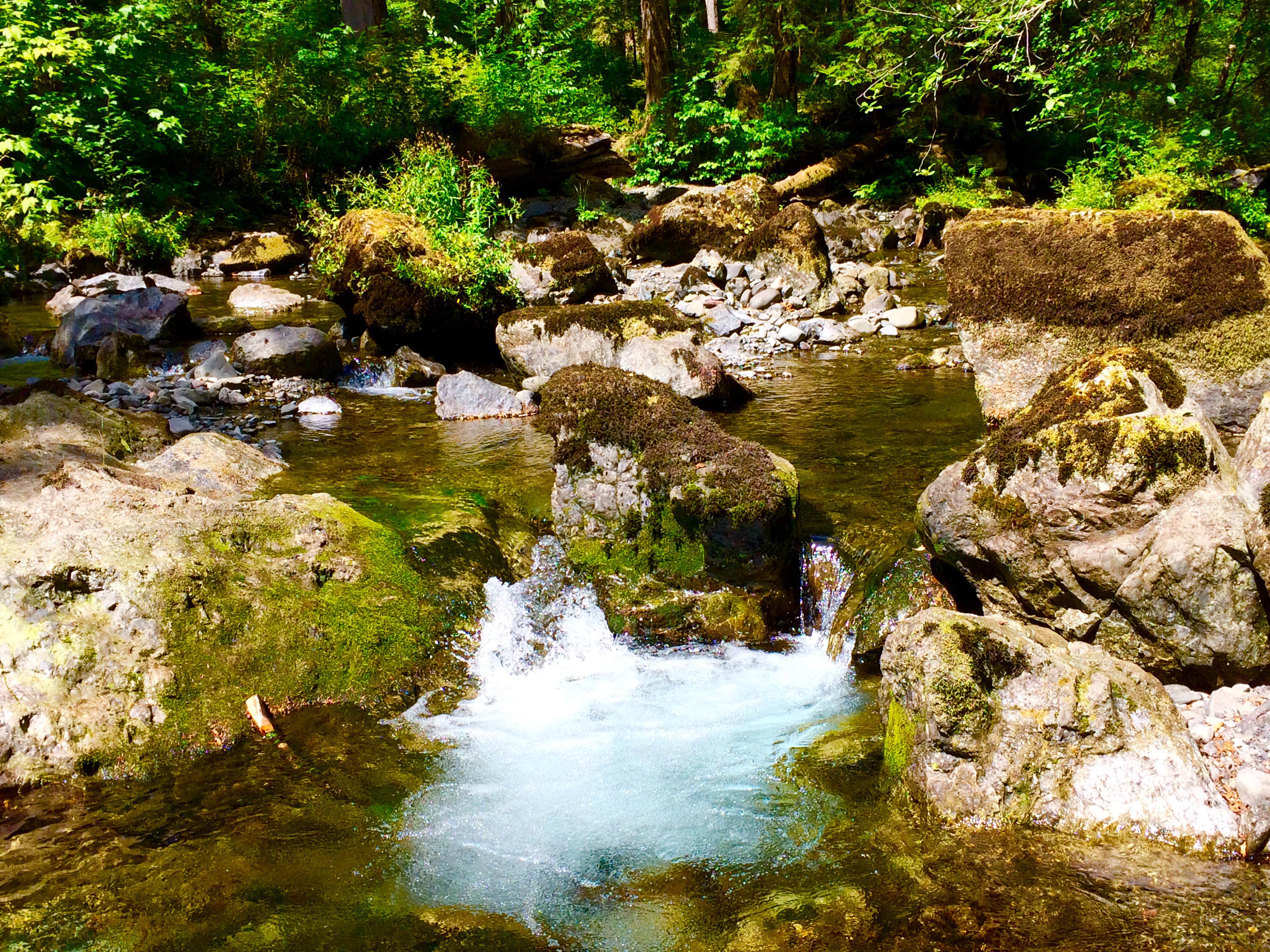 Camper submitted image from Campbell Tree Grove Campground - 4