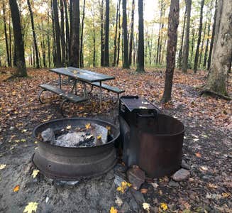 Camper-submitted photo from Tohickon Family Campground