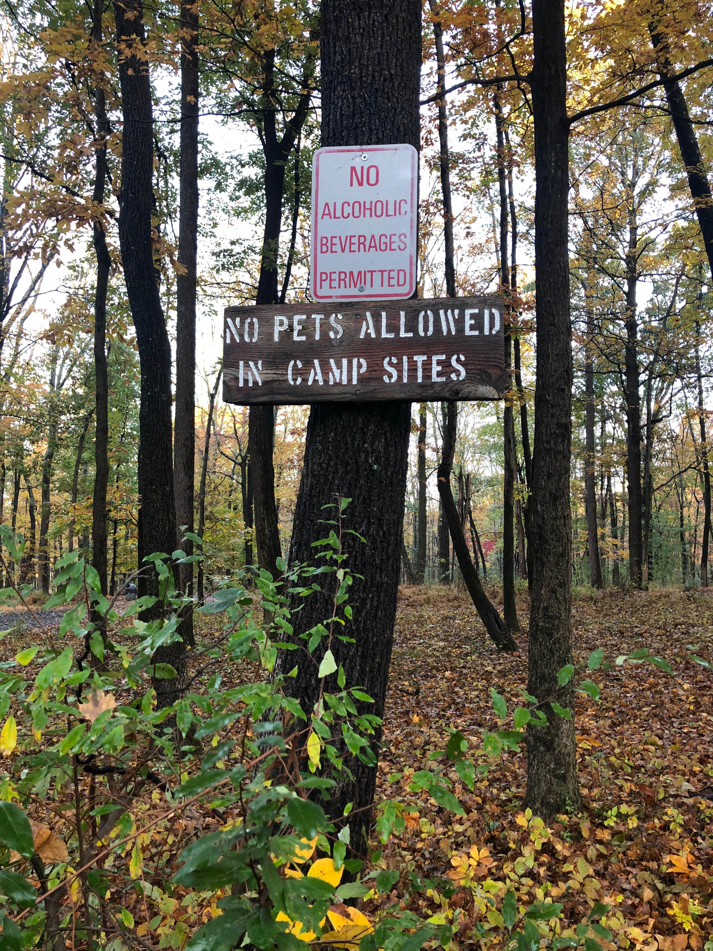 Camper-submitted photo at Tohickon Valley County Park near Hellertown, PA