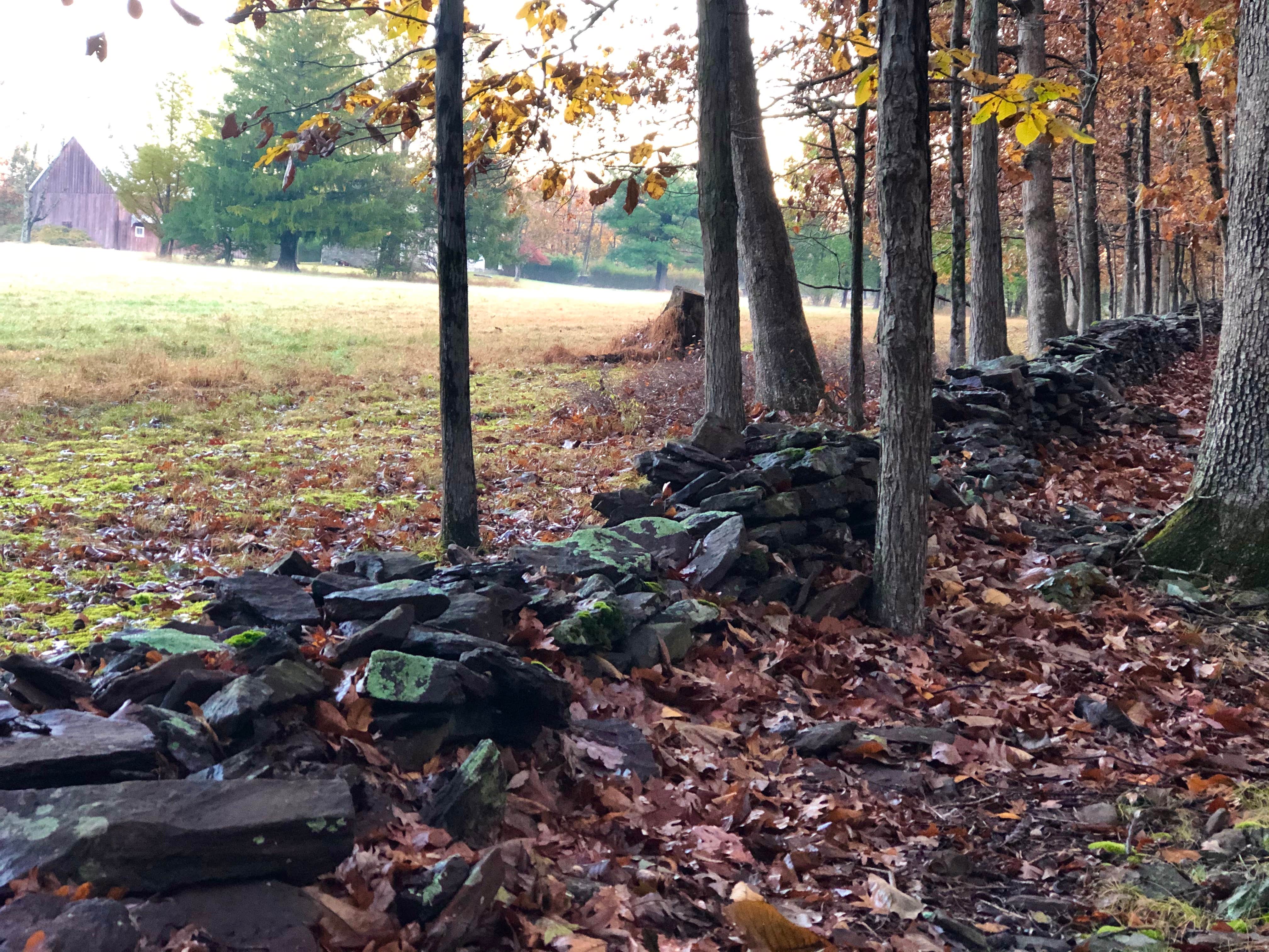Camper-submitted photo at Tohickon Valley County Park near Hellertown, PA